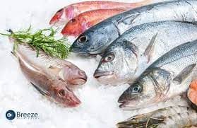 Experience the Best Fresh Fish at Lake Turkana Fresh Fish in Kenya